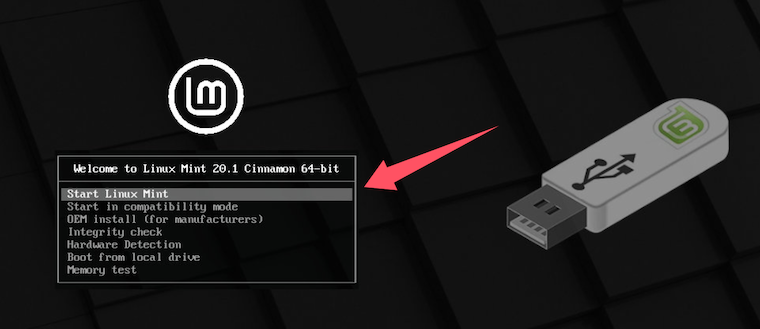 boot from linux mint usb