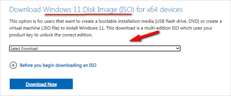 Download Windows 11 ISO