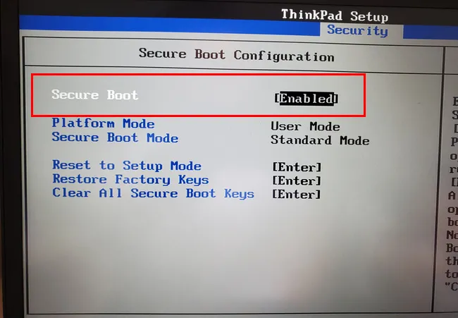 Install Windows 11 on any hardware without TPM/Secure Boot – dmos Blog